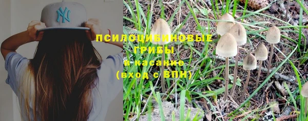 гашиш Богородицк