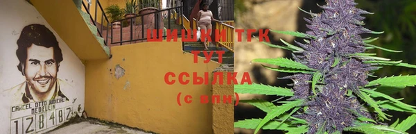 Альфа ПВП Богородск