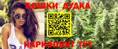 PSILOCYBIN Коммунар