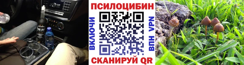 Псилоцибиновые грибы GOLDEN TEACHER  магазин    Улан-Удэ 